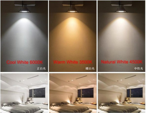 Philips 4W (50W) Işığı Kısılabilir Çanak Ampul Gün Işığı 4000K - Resim 7