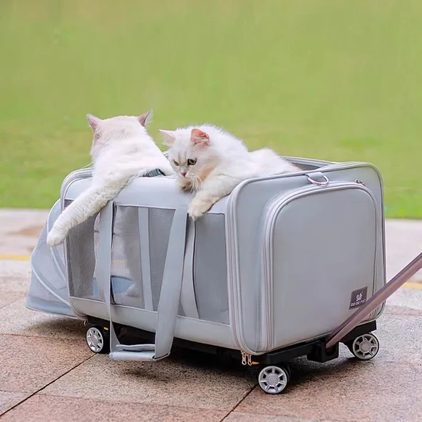 Kedi Köpek İki Taraflı Genişletilebilir ve Taşınabilir Sırt Çantası 15 Kg Kapasiteli - 5
