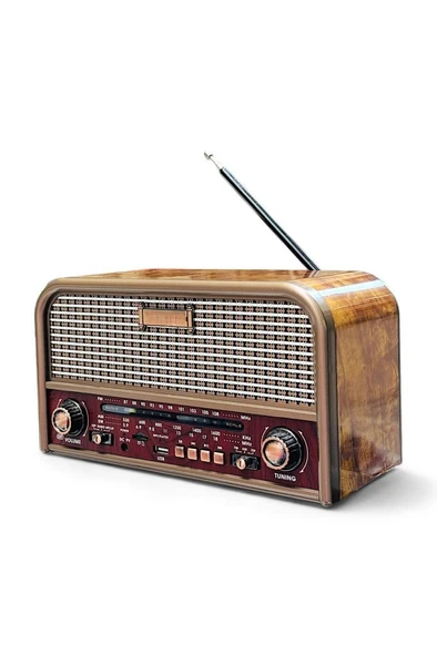 Everton Nostalji Müzik Kutusu Güçlü Ses Bluetooth Usb Aux Sd Kard Destekli RT-715 Radyo - 3