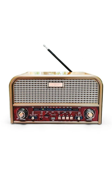 Everton Nostalji Müzik Kutusu Güçlü Ses Bluetooth Usb Aux Sd Kard Destekli RT-715 Radyo