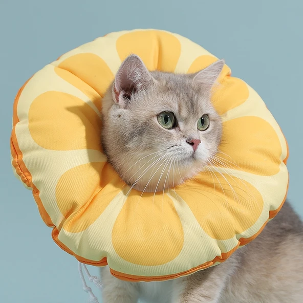Kedi Elizabeth Yaka Kedi Yavrusu Tırmalamayı Önleyici Turuncu S Beden