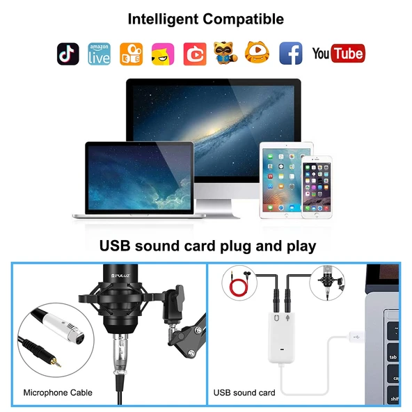 PULUZ Profesyonel Stüdyo Yayın Mikrofon Seti Gümüş Renkli Askılı Makas Kol Metal Şok Montaj USB Ses Kartı - 6