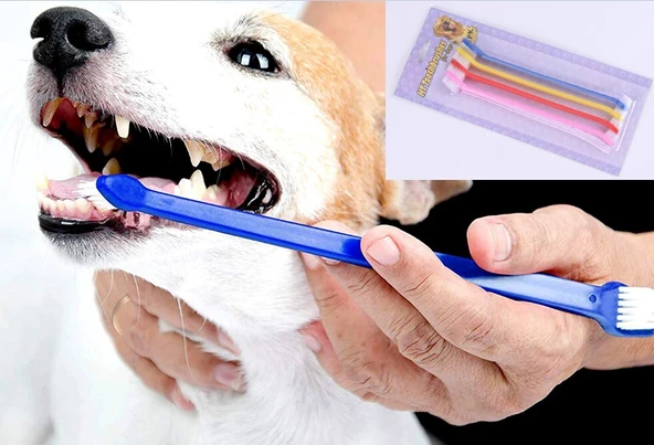 ÇIFT TARAFLI HAYVAN DIŞ FİRÇASI 4 LÜ SET ürün görseli