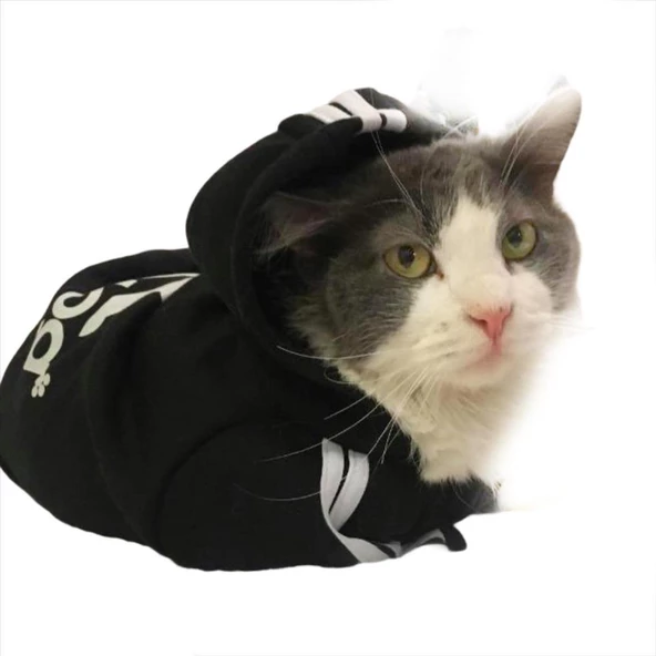 Siyah Adidog Kapşonlu Duo Kedi Sweatshirt Kedi Kazağı