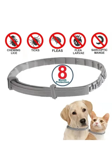 Bosile Kedi-Köpek Anti Pire Kene Önleyici Tasma- 38 Cm Pire Önleyici Tasma-Kene Önleyici Tasma