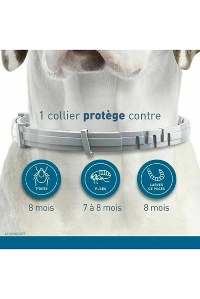 Bosile Kedi-Köpek Anti Pire Kene Önleyici Tasma- 38 Cm Pire Önleyici Tasma-Kene Önleyici Tasma - 3