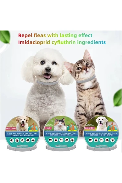 Bosile Kedi-Köpek Anti Pire Kene Önleyici Tasma- 38 Cm Pire Önleyici Tasma-Kene Önleyici Tasma - 2