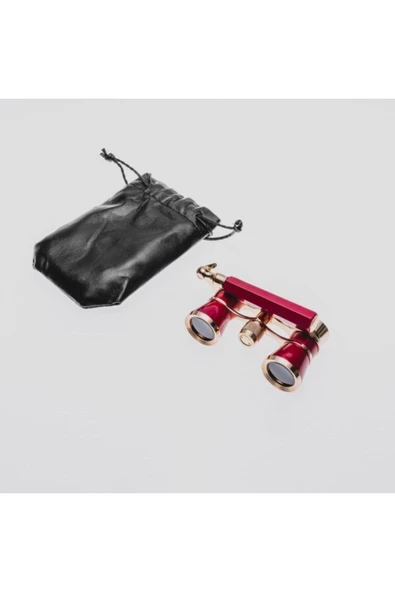 Nikula Prinç Metal Kaplamalı Deri Kılılflı Işlemeli Retro Görünümlü Opera Dürbünü - Resim 4