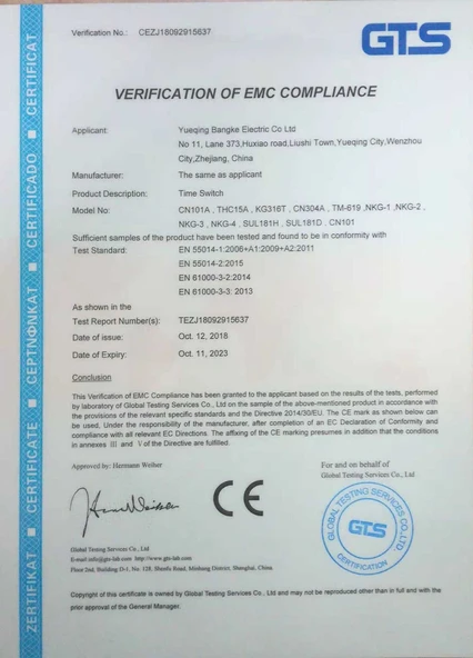 CN101A AC220V Mikroişlemci Dijital LCD Zamanlayıcı - 7