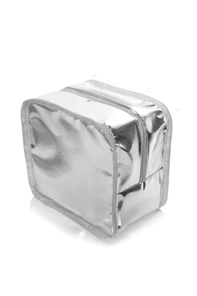 DysCase 10 Lt. Isı Yalıtımlı Bebek Bakım, Beslenme Çantası - 3