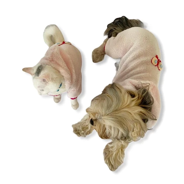 Softie Pink Butterfly Duo Kedi Tulumu Kedi Kıyafeti - 8