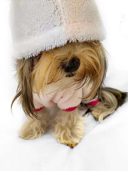 Softie Butterfly Pembe Duo Köpek Tulumu Köpek Kıyafeti - 6