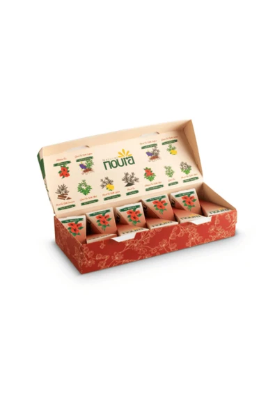 Noura Natural 10'lu Bardak Poşet Hibiskus Çayı - 2