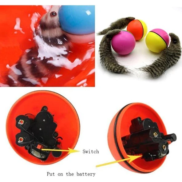 Hareketli Rakun Kedi Köpek Oyuncak - 4