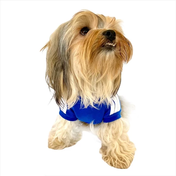 Saks Mavi Adidog Kapşonlu Duo Köpek Sweatshirt Köpek Kazağı - 8