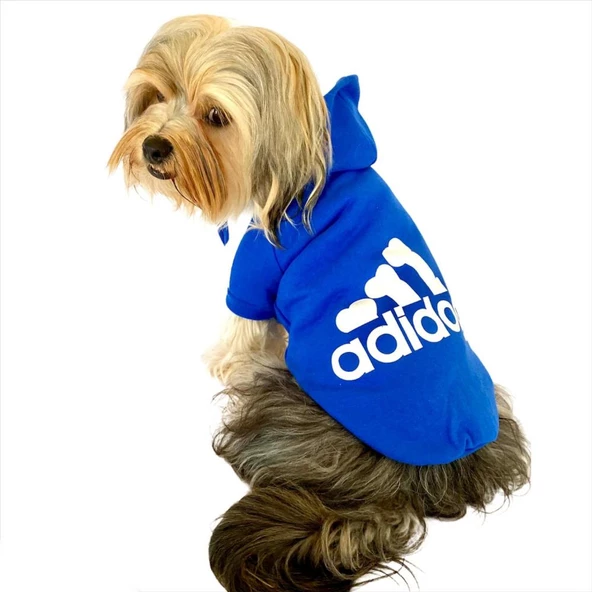 Saks Mavi Adidog Kapşonlu Duo Köpek Sweatshirt Köpek Kazağı - 9