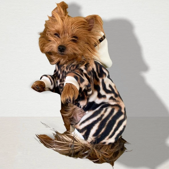 Leo Chique Polar Kapşonlu Köpek Tulumu Kıyafeti - 6