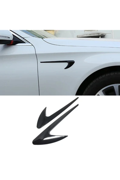 Lazer Store Citroen C8 Dış Çıta Vent Izgara Çamurluk Venti Uyumlu - 6
