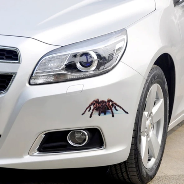 A21 Hayvan Desenli Araba Gövde Sticker Seti - 5