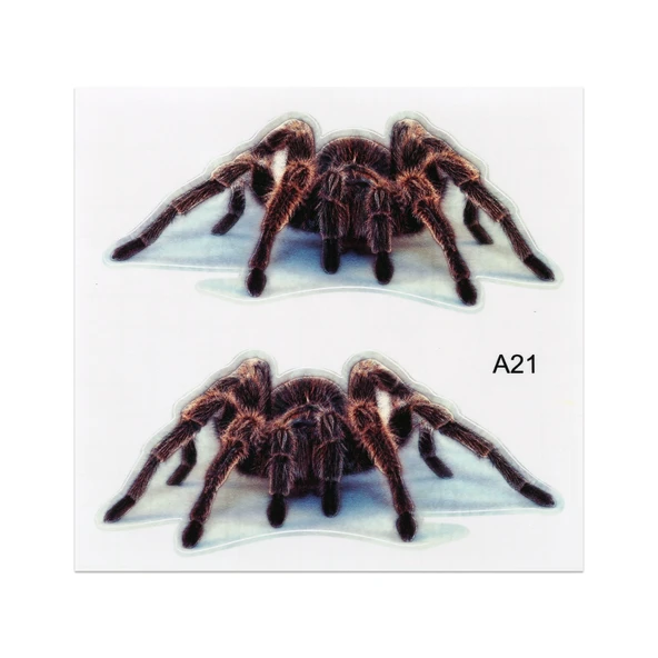 A21 Hayvan Desenli Araba Gövde Sticker Seti - 2