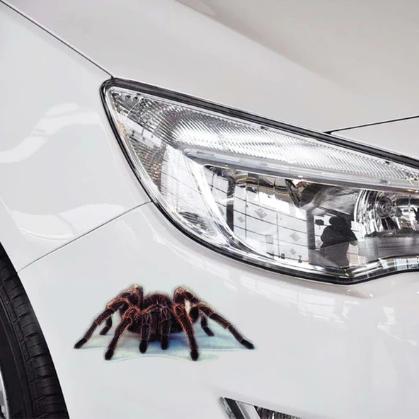 A21 Hayvan Desenli Araba Gövde Sticker Seti