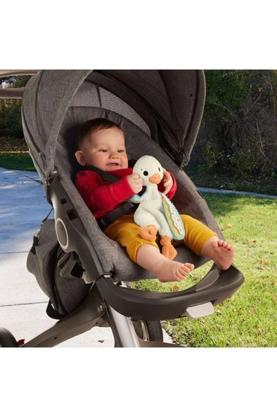 FISHER PRICE Sevimli Kaz, Yenidoğanlar Için Duyusal Gelişime Yardımcı, Sesli Oyuncak HRB16 - 5