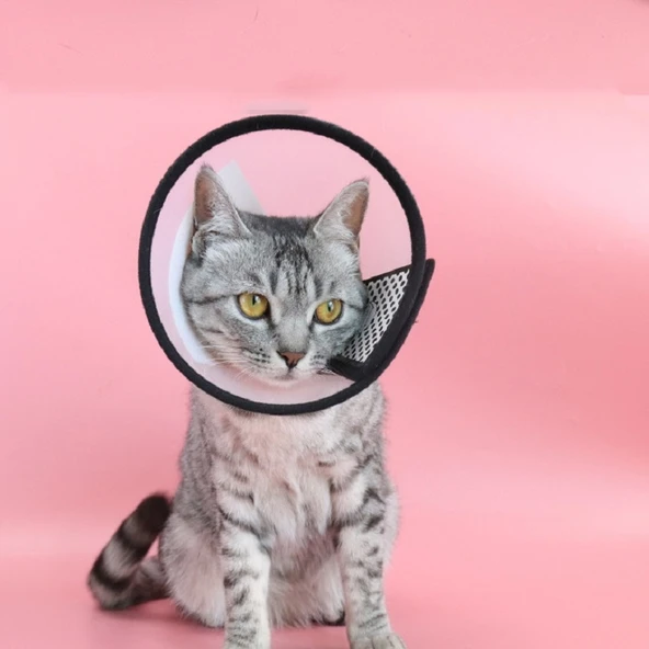 Evcil Hayvan Koruyucu Başlık Kedi ve Köpek Isırma Önleyici Boyunluk No4 125cm - 6