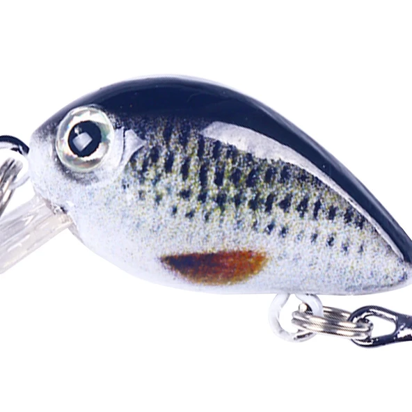 HENGJIA 2.5cm 1.5g Yüzen Mini 3D Baskılı Balık Yemi Renk 7 - 5