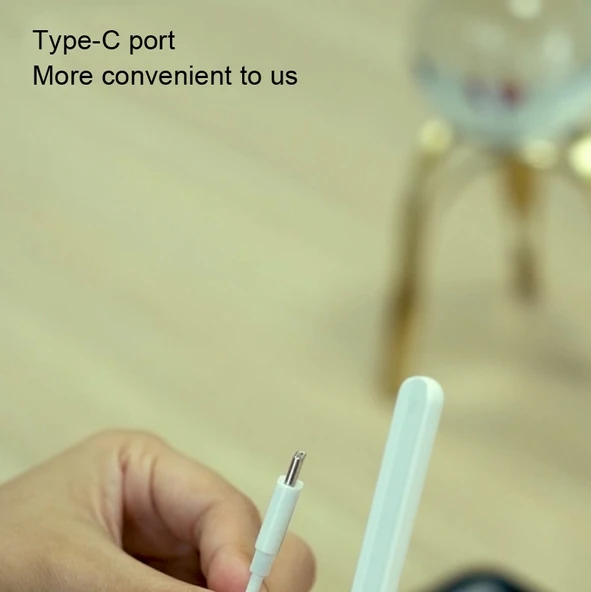 Apple Pencil 2 Uyumlu RX 01 Kapasitif Kalem Manyetik Şarj Kablosu 35cm Type C - 4