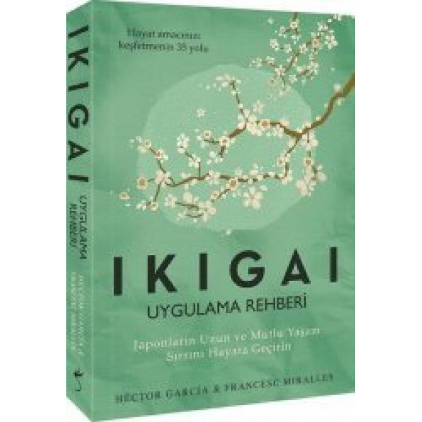 IKIGAI UYGULAMA REHBERİ