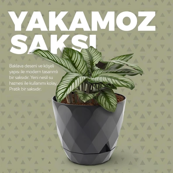 Omnipazar KRS-452 Yakamoz Tabaklı Plastik Saksı Takımı 1.3 Litre No 2 - 10