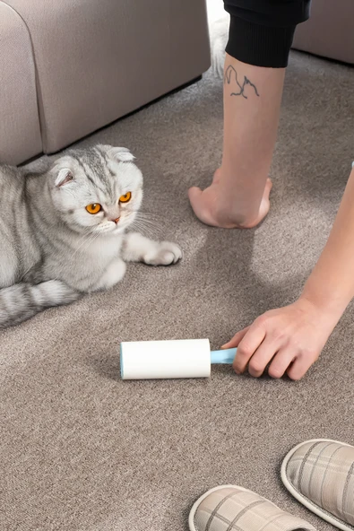 Porsima 3105 Kedi Köpek Tüy Toplayıcı Rulo 4 Adet Yedek Rulo Mavi - 4