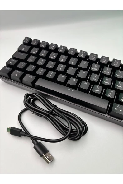 silabor T60 Siyah Renk Mavi Switch Mekanik Kablolu Klavye Gaming Driverli Oyuncu Klavyesi T60 Mini Q - 2