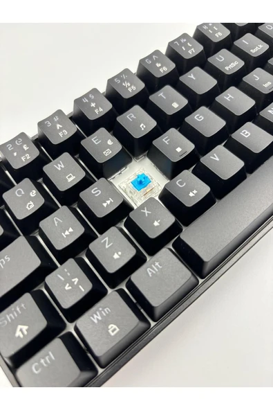 silabor T60 Siyah Renk Mavi Switch Mekanik Kablolu Klavye Gaming Driverli Oyuncu Klavyesi T60 Mini Q - 5
