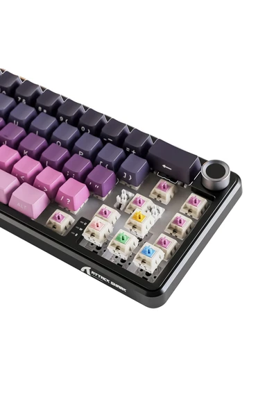silabor Attack Shark X66 Kablosuz Mekanik Klavye Side Printed PBT Keycaps - 6