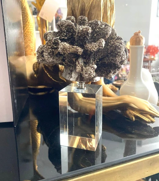 Krıstal Kaideli Mercan Biblo Gümüş - 3