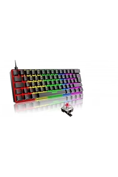 silabor T60 Siyah Renk Kırmızı Switch Mekanik Kablolu Klavye Gaming Driverli Oyuncu Klavyesi T60 Mini Q - 1