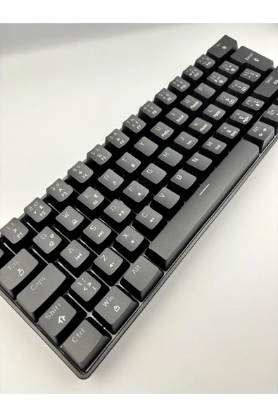 silabor T60 Siyah Renk Mavi Switch Mekanik Kablolu Klavye Gaming Driverli Oyuncu Klavyesi T60 Mini Q - 8