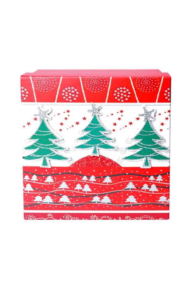 Yılbaşı Çam Ağacı Motifli Hediye Kutusu 15x7 cm - 2