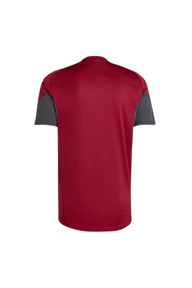 adidas Erkek  Bordo  Forma AFC EU TR JSY JI9568 - 2