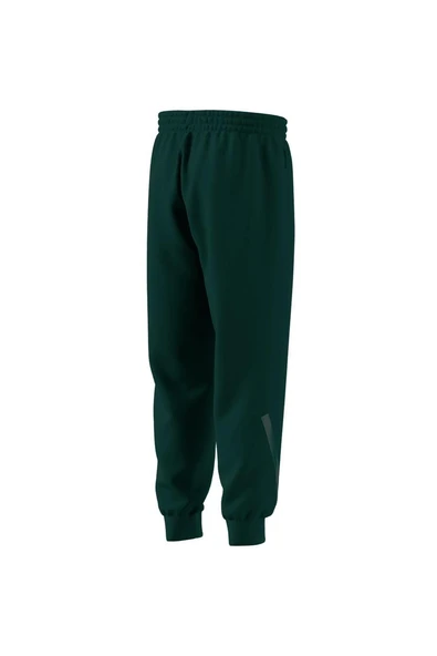 adidas Erkek   Eşofman Altı M Z.N.E. PT JW4724 - 10
