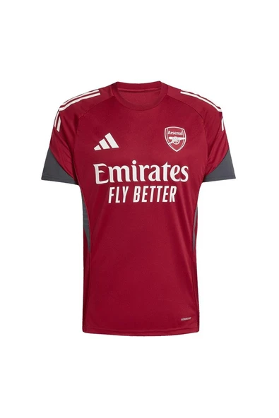 adidas Erkek  Bordo  Forma AFC EU TR JSY JI9568