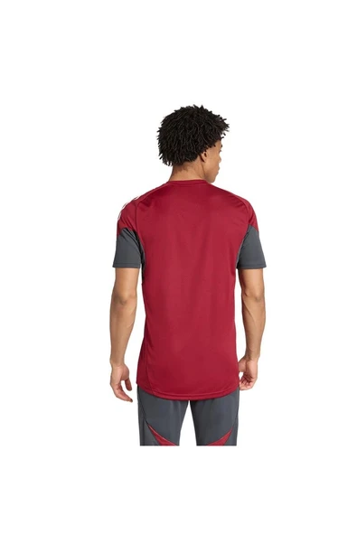 adidas Erkek  Bordo  Forma AFC EU TR JSY JI9568 - 4