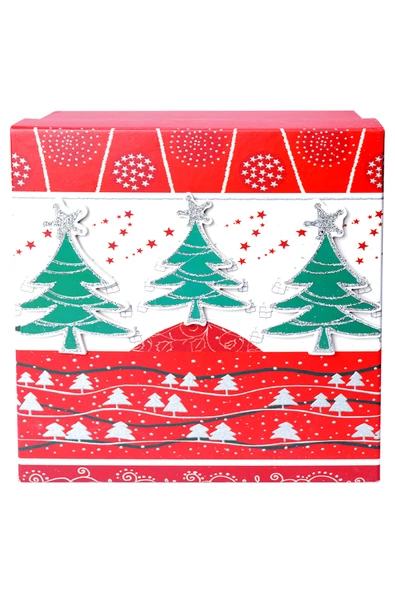 Yılbaşı Çam Ağacı Motifli Hediye Kutusu 19x9 cm - 2