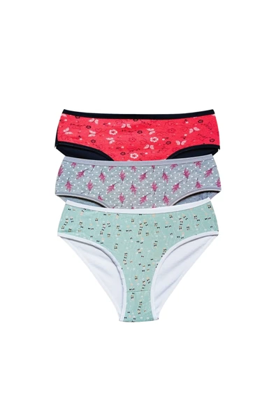 Pamuklu Geniş Kenarlı Likralı Desenli Bato Kadın Külot 3'lü Paket Set1 ürün görseli