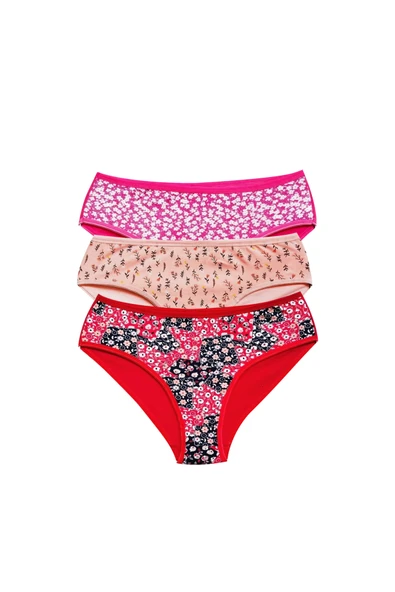 Pamuklu Geniş Kenarlı Likralı Desenli Bato Kadın Külot 3'lü Paket Set3 ürün görseli