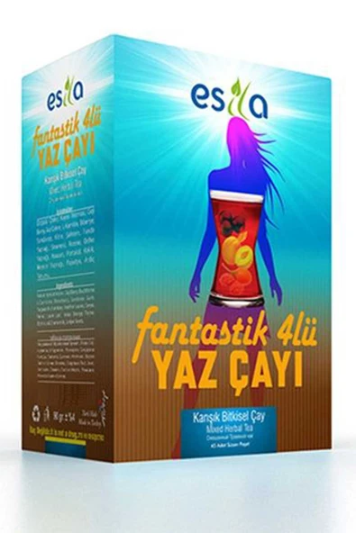 Fantastik 4 Lü Yaz Çayı 45 Li. ürün görseli