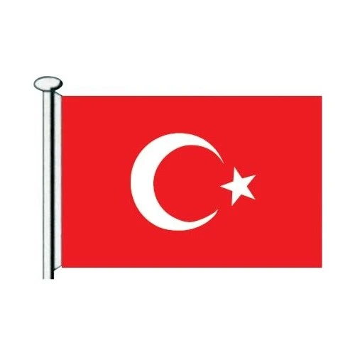 Saray Türk Bayrağı  80X120 - 2