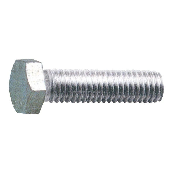 Marine Town Altı Köşe Civata 10X50 ürün görseli