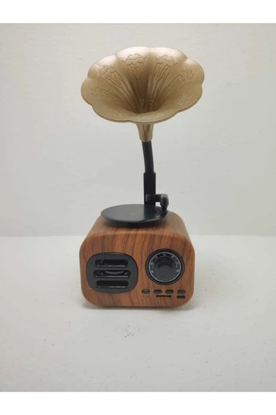 Proton Nostaljik Mini Bluetooth Radyo Gramafon Speaker - 4